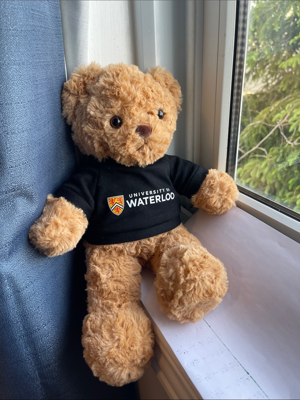 Plush Teddy Bear - University of Waterloo Tee